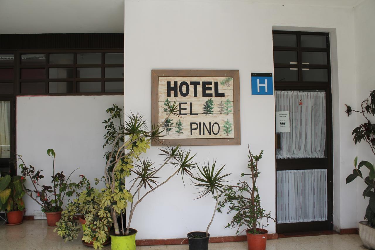 Hotel El Pino 테로르 외부 사진